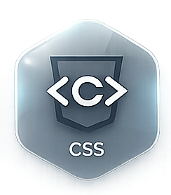 icono CSS